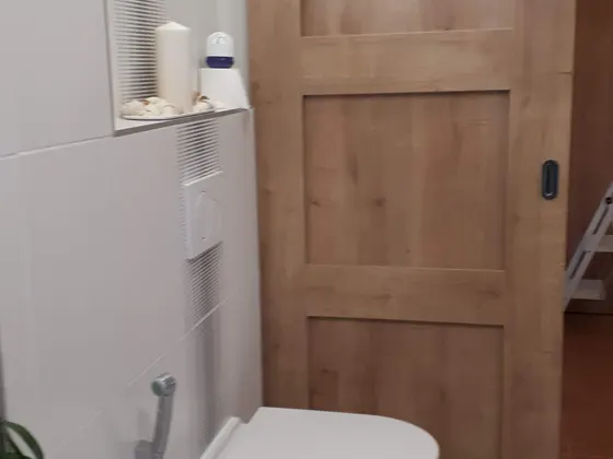 Závěsné WC a posuvné dřevěné dveře v hotovém interiéru.